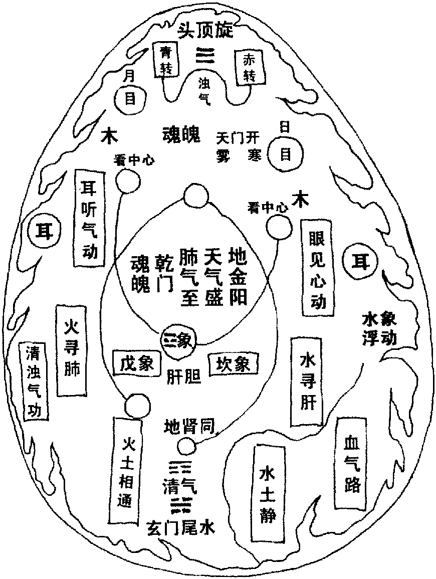 十六、人体同于天体布局